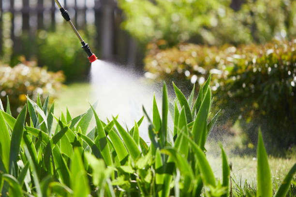 Tamper-Resistant Bait Stations for Rodents in Ardmore