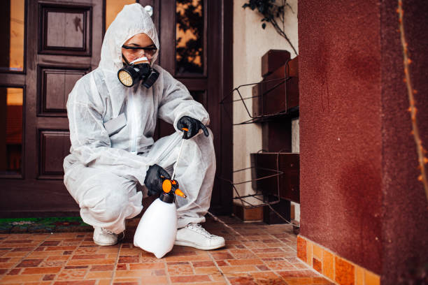 Attic and Crawl Space Rodent Treatment in Ardmore